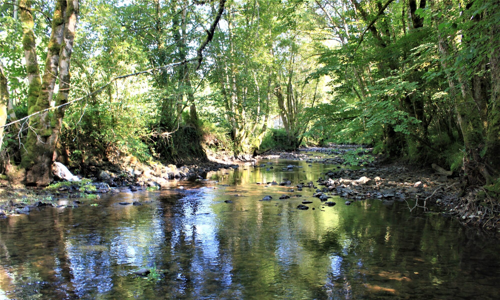 Le Moulin des 13 Vents